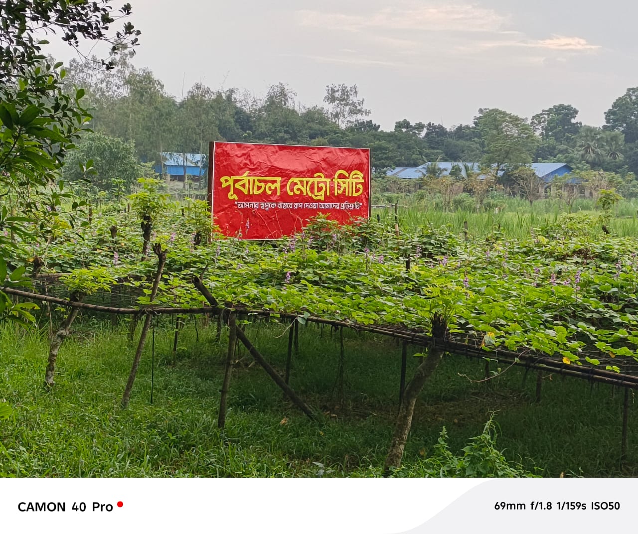 Purbachal Metro City Project Site